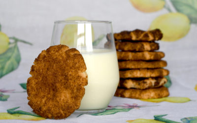 Gluten-free Dairy-free Snickerdoodles