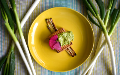 Grilled Tofu with Leek Negi Puree