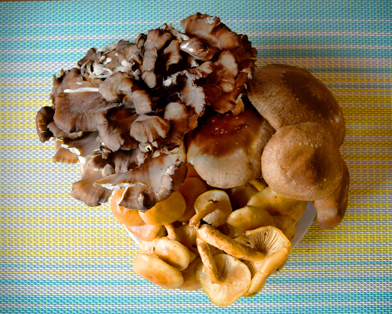 Mushrooms in Japan Eat with Meraki