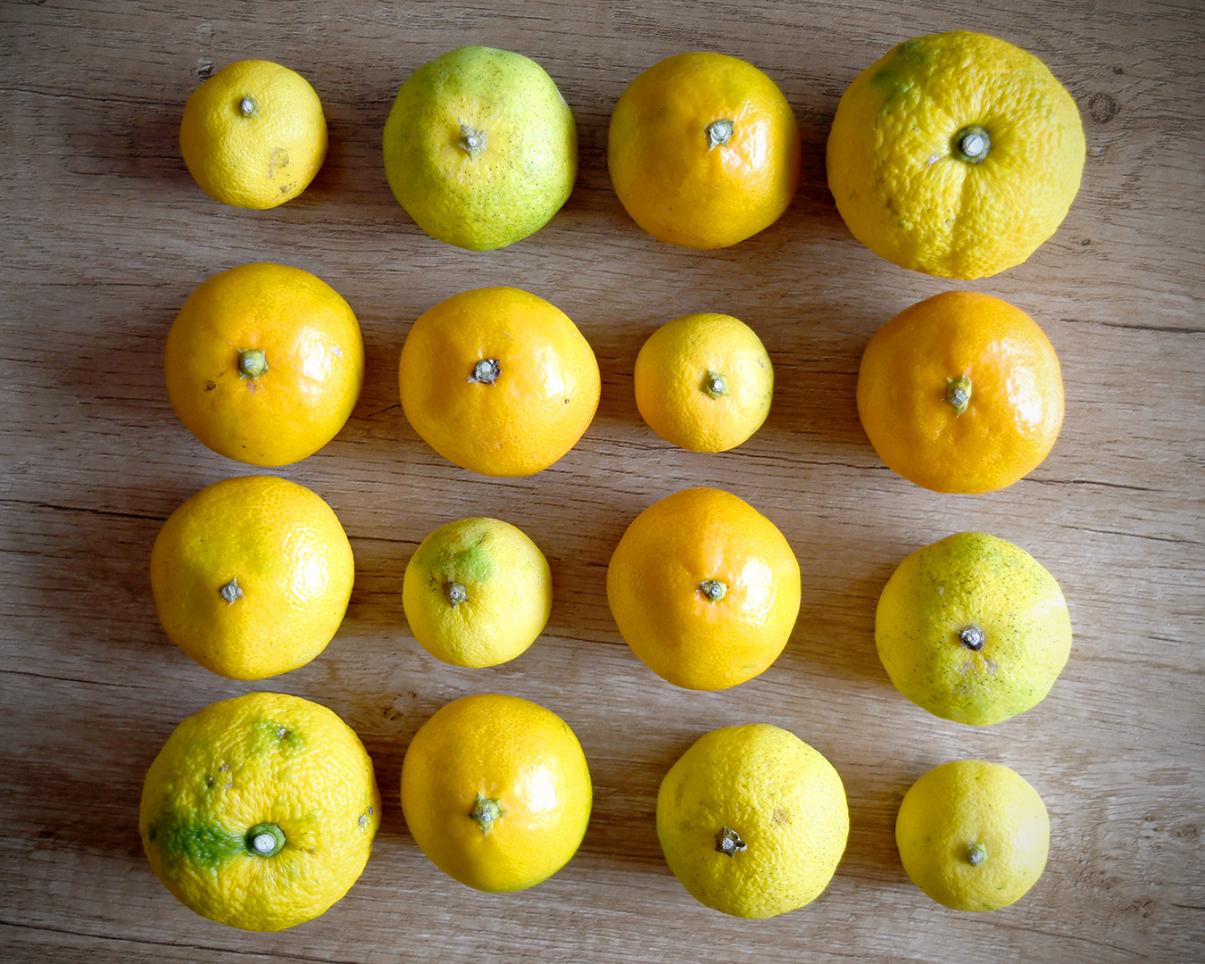 Winter Citrus in Japan Eat with Meraki