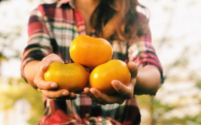 Using Persimmon in Autumn Desserts