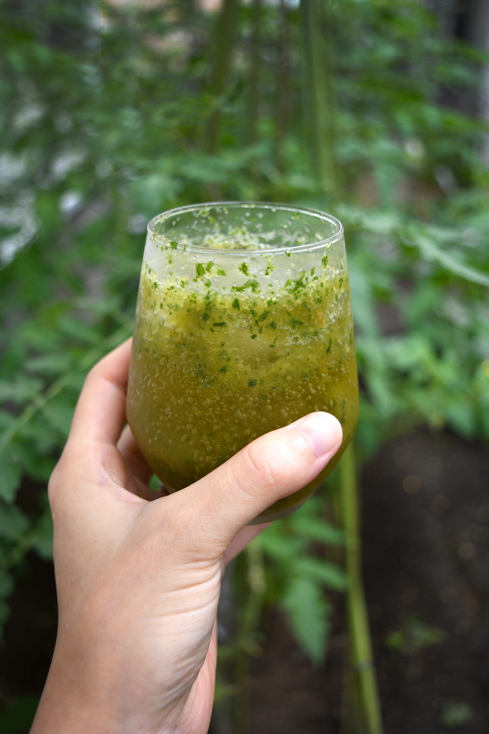 Homemade Ginger Beer Meraki Japan