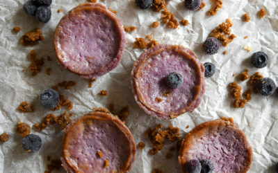 Vegan Blueberry Cheesecake Bites
