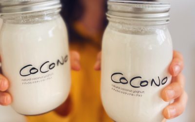 Chat with Meraki: Cocono Yogurt
